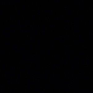 Meet your Posher, Jenelle